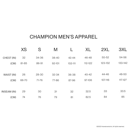 Champion mens Classic Jersey Tee T-Shirt (pack of 1)