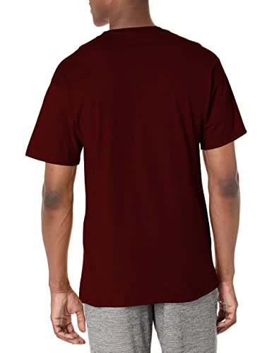 Champion mens Classic Jersey Tee T-Shirt (pack of 1)