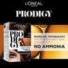 L`Oreal Paris Developer Prodigy 3.0 60Gm