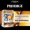 L`Oreal Paris Developer Prodigy 3.0 60Gm