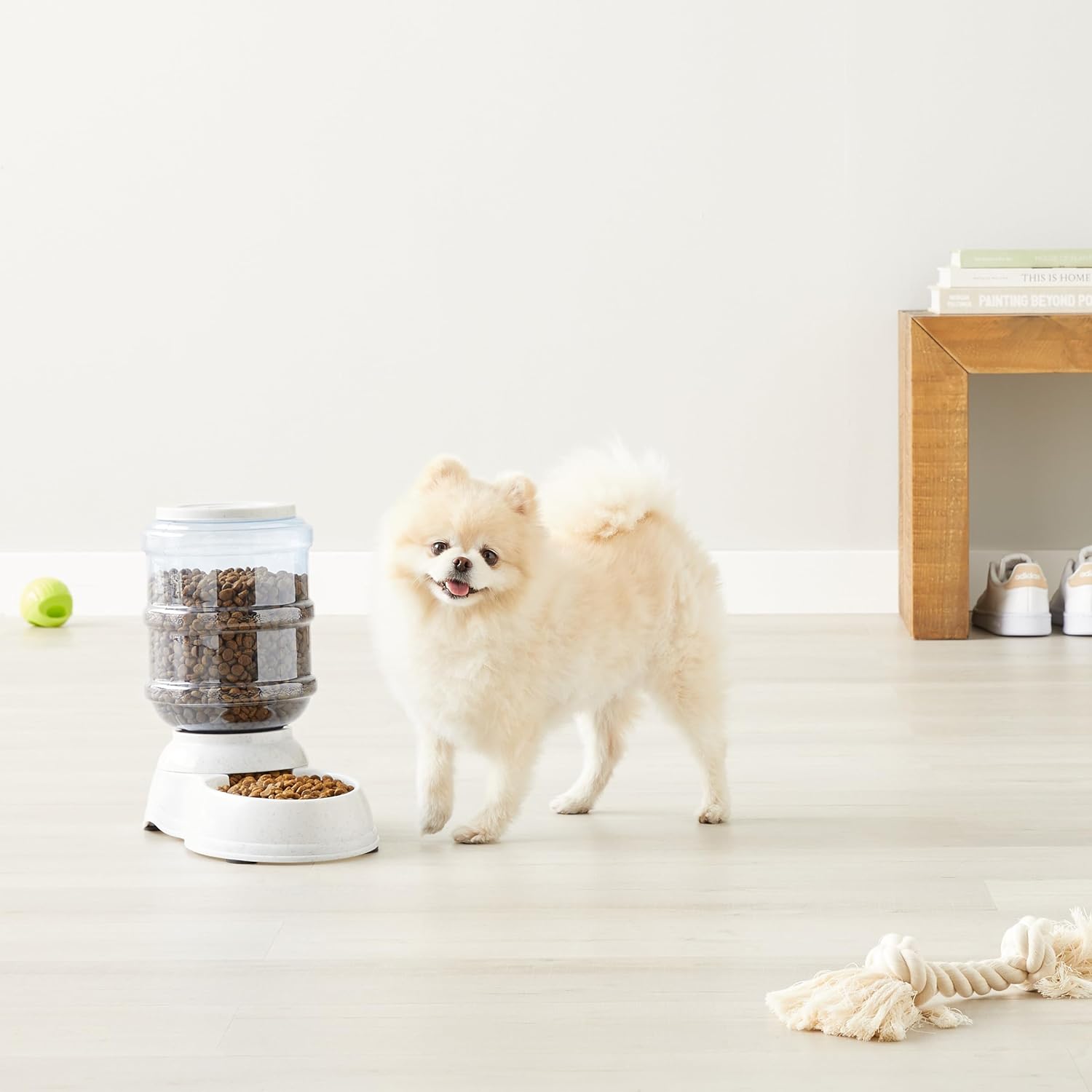 Small Gravity Pet Water Dispenser