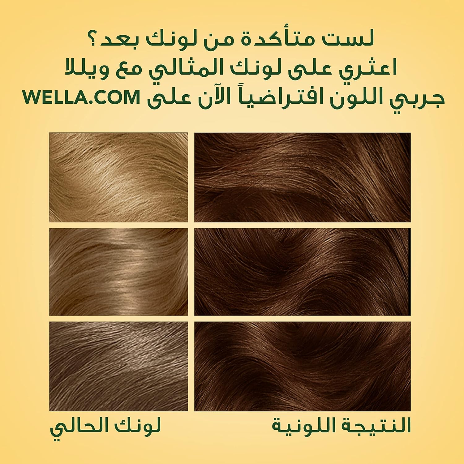 Wella Soft Color Natural Instincts Hair Color 6/3 Golden Caramel