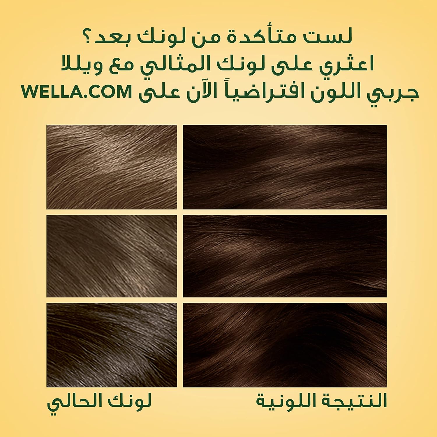 Wella Soft Color Natural Instincts Hair Color 6/3 Golden Caramel