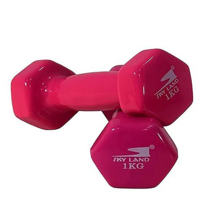 SKY LAND Classical Head Vinyl Dumbbells/Hand Weights Pair/Vinyl Coated Dumbbells for Home Gym, Exercise & Fitness Equipment Workouts/Strength Training/1Kg Dumbbells X 2 Pink/EM-9219-1