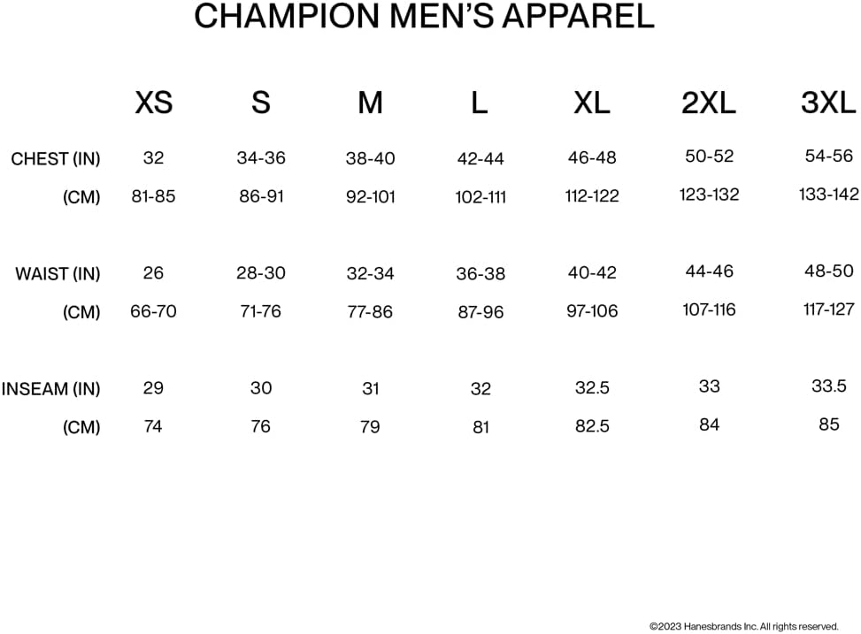 Champion mens Classic Jersey Tee T-Shirt (pack of 1)