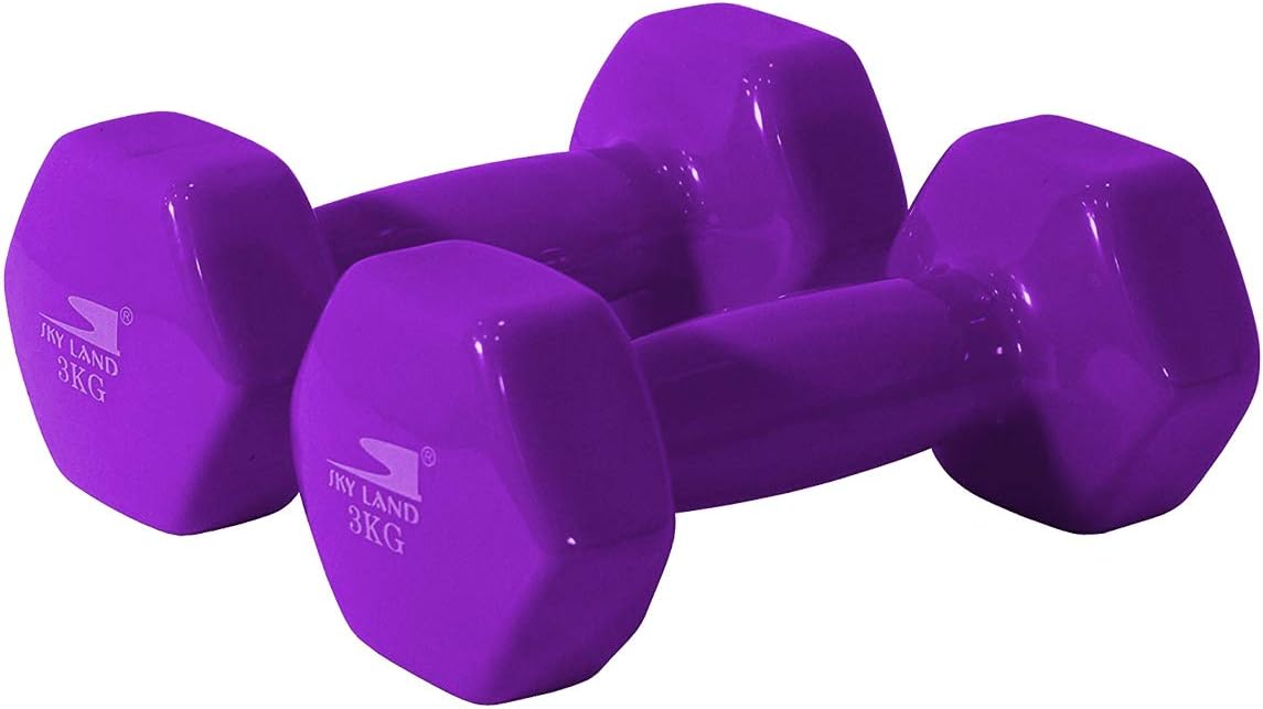 SKY LAND Classical Head Vinyl Dumbbells/Hand Weights Pair/Vinyl Coated Dumbbells for Home Gym, Exercise & Fitness Equipment Workouts/Strength Training/3Kg Dumbbells X 2 Purple/EM-9219-3