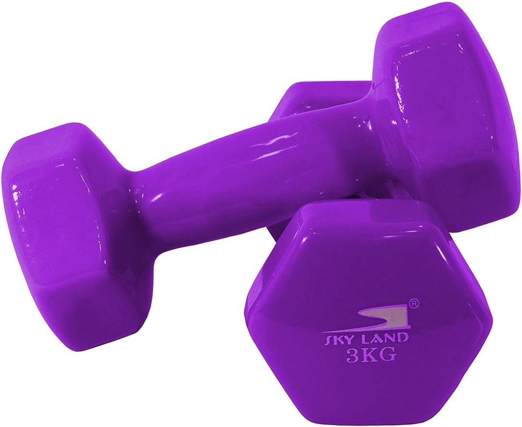 SKY LAND Classical Head Vinyl Dumbbells/Hand Weights Pair/Vinyl Coated Dumbbells for Home Gym, Exercise & Fitness Equipment Workouts/Strength Training/3Kg Dumbbells X 2 Purple/EM-9219-3