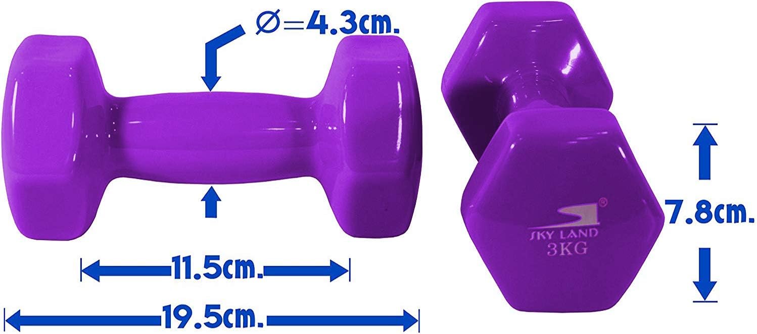 SKY LAND Classical Head Vinyl Dumbbells/Hand Weights Pair/Vinyl Coated Dumbbells for Home Gym, Exercise & Fitness Equipment Workouts/Strength Training/3Kg Dumbbells X 2 Purple/EM-9219-3