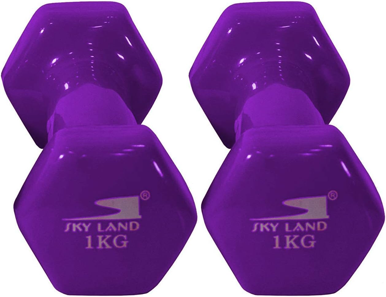 SKY LAND Classical Head Vinyl Dumbbells/Hand Weights Pair/Vinyl Coated Dumbbells for Home Gym, Exercise & Fitness Equipment Workouts/Strength Training/1Kg Dumbbells X 2 Purple/EM-9219-1