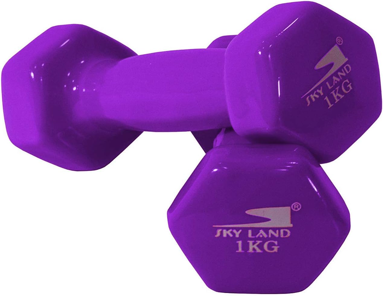 SKY LAND Classical Head Vinyl Dumbbells/Hand Weights Pair/Vinyl Coated Dumbbells for Home Gym, Exercise & Fitness Equipment Workouts/Strength Training/1Kg Dumbbells X 2 Purple/EM-9219-1