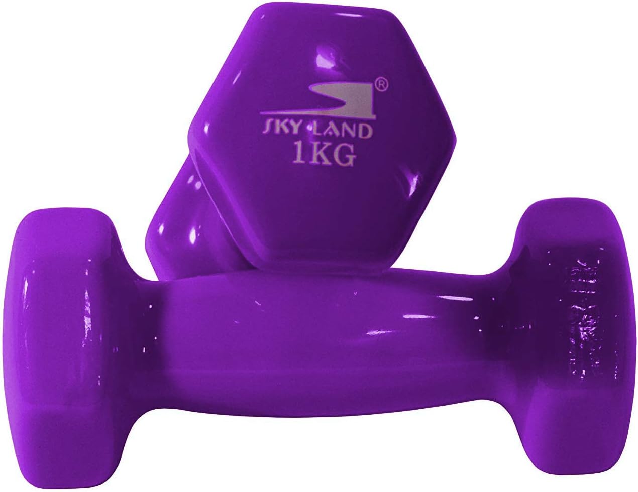 SKY LAND Classical Head Vinyl Dumbbells/Hand Weights Pair/Vinyl Coated Dumbbells for Home Gym, Exercise & Fitness Equipment Workouts/Strength Training/1Kg Dumbbells X 2 Purple/EM-9219-1