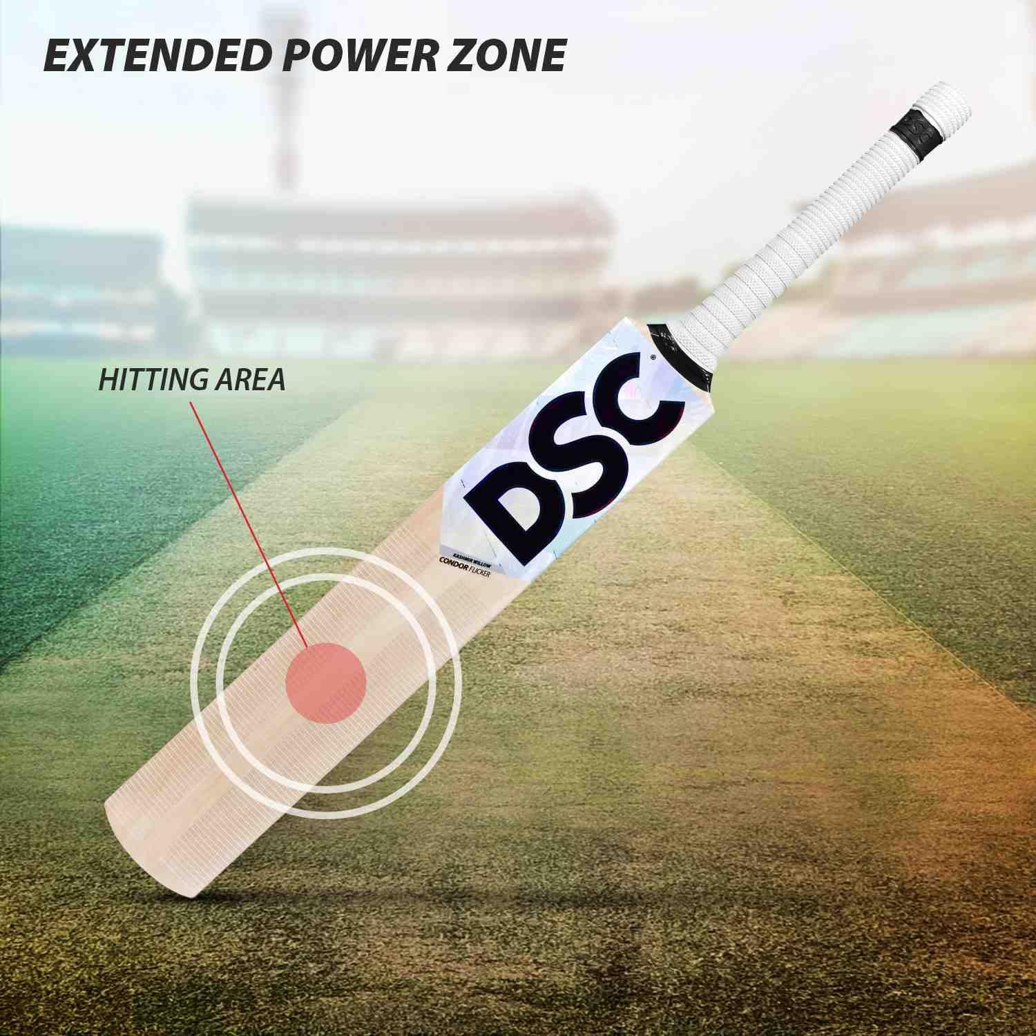 DSC Condor Flicker Kashmir Willow Cricket Bat (Size: 2, Ball_ type : Leather Ball, Playing Style : All-Round)