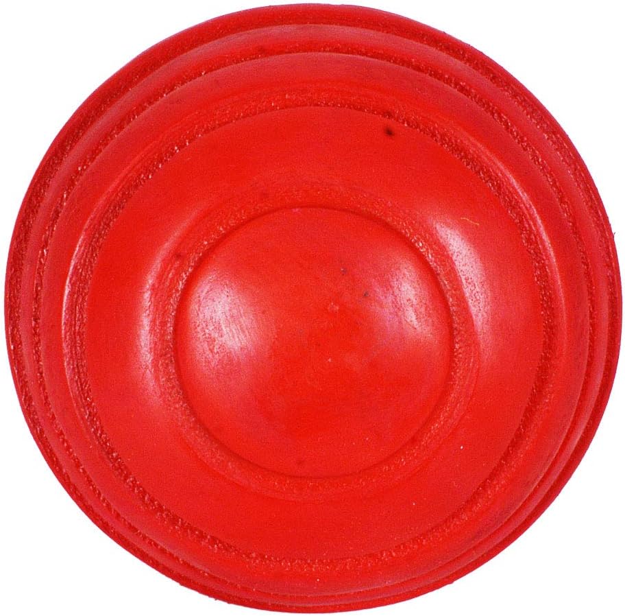 DSC Synthetic Wobble Leather Cricket Ball (Red)