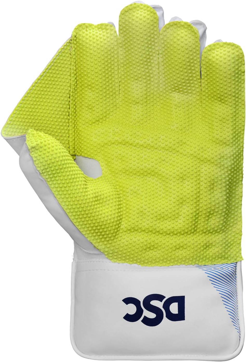 DSC Intense Attitude Wicket keeping Gloves - Mens (Multicolour)