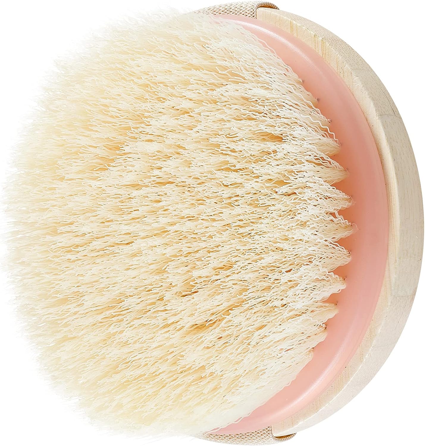 Eco Tools Dry Body Brush