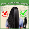 DEXE Black Hair Color Shampoo for Grey Hair 400 ml Instant Hair Dye in 5 minutes last for 90 Days for men and women