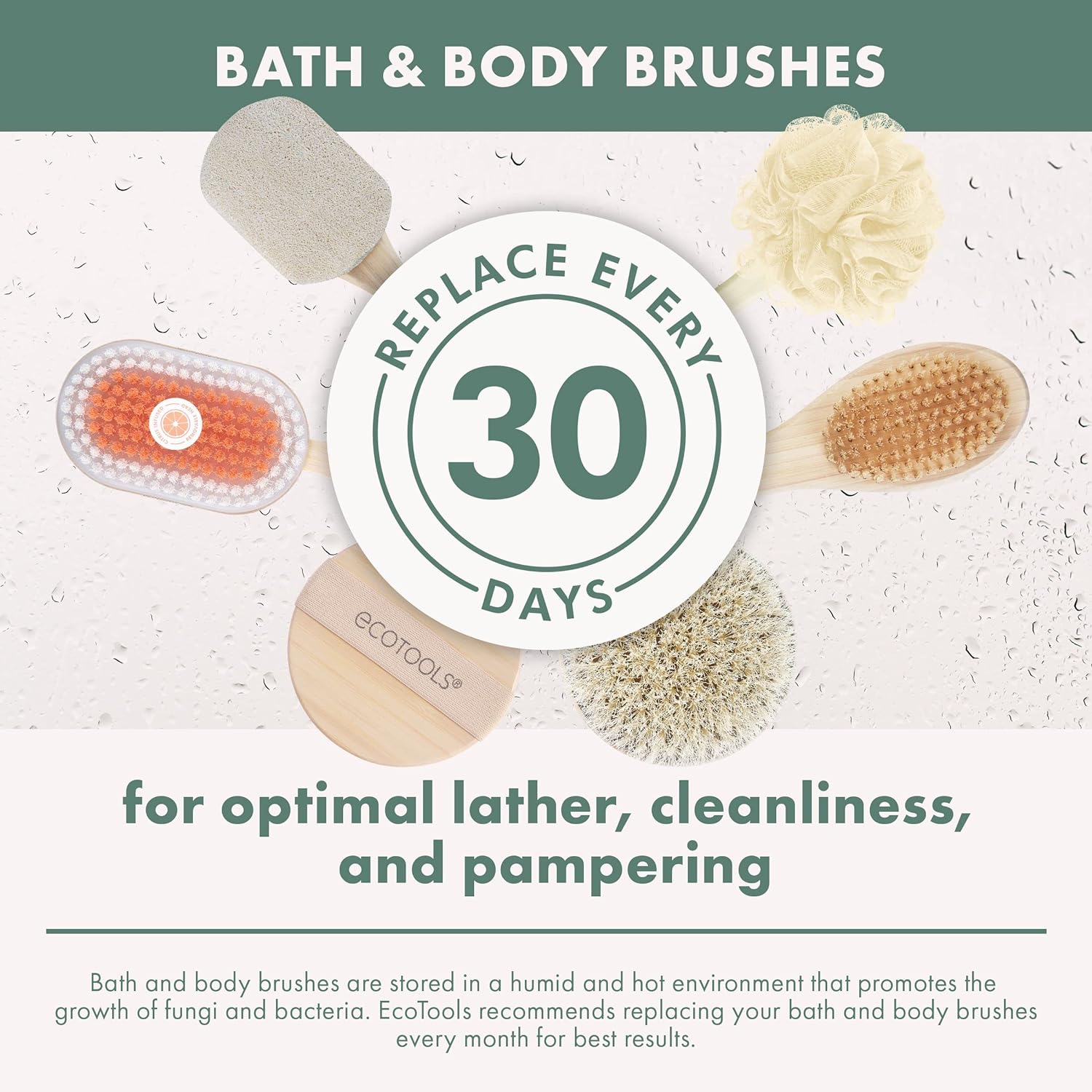 Eco Tools Dry Body Brush